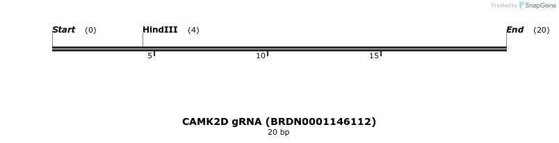 144645_map