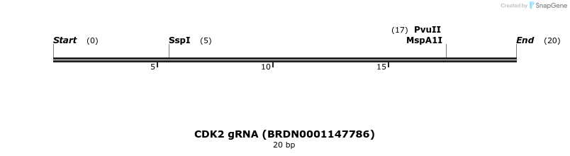 144652_map