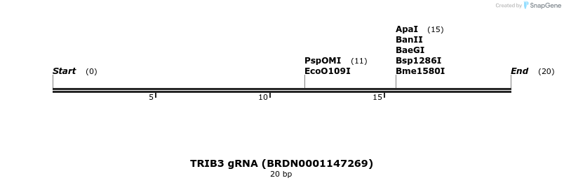 144661_map