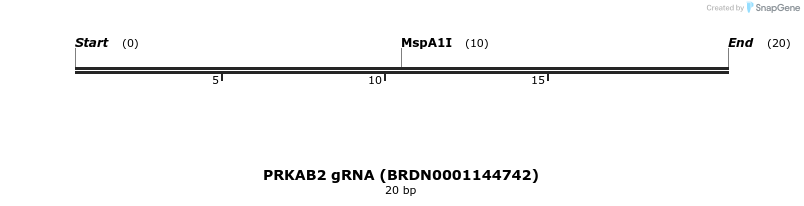 144664_map