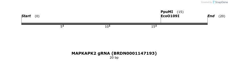 144666_map