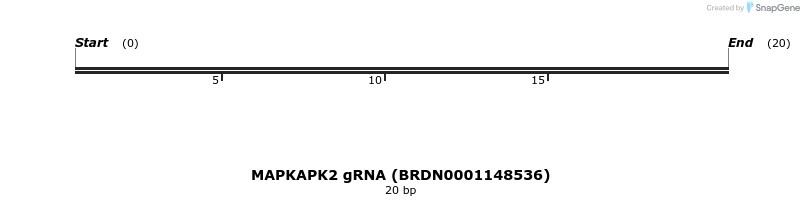 144667_map