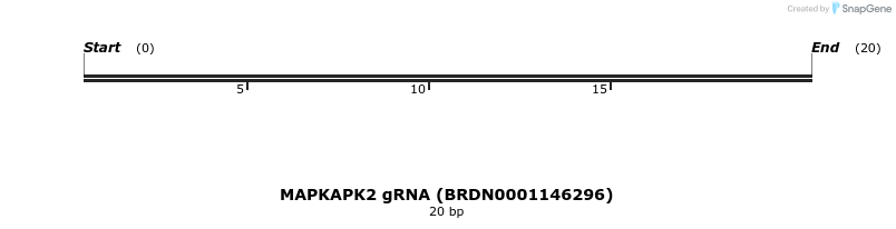 144668_map