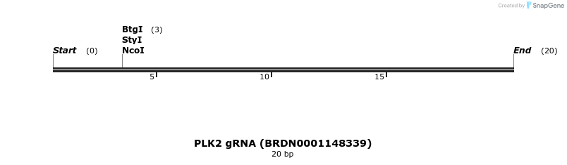 144671_map