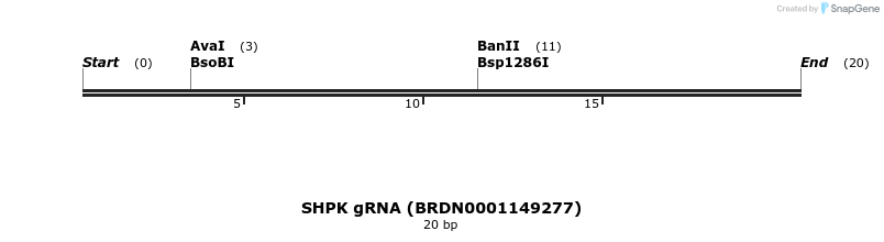 144677_map