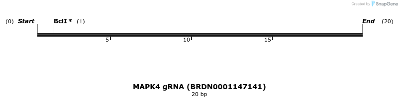 144683_map
