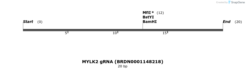 144698_map