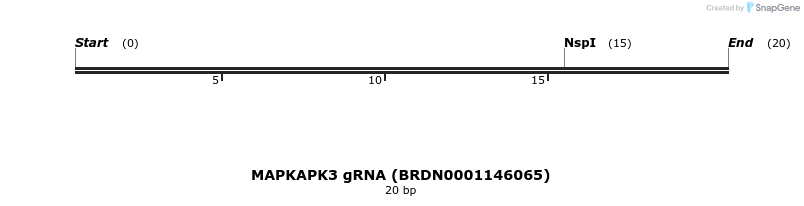 144701_map