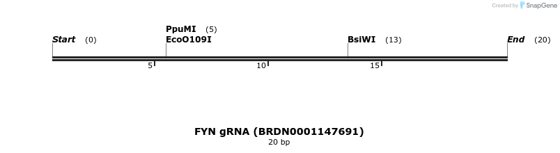 144703_map