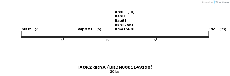 144711_map