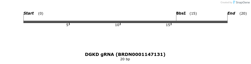 144718_map