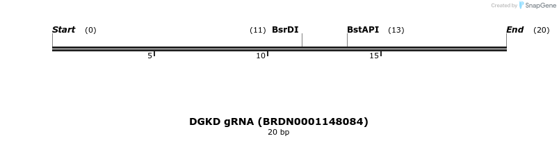 144719_map