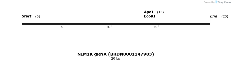 144729_map