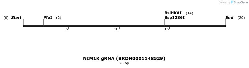 144730_map