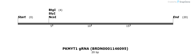 144738_map