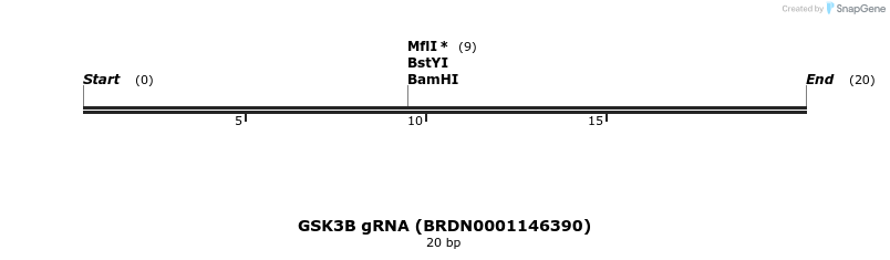 144742_map