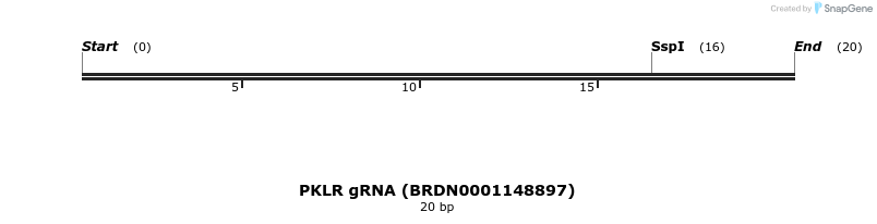 144751_map