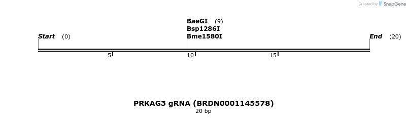144755_map