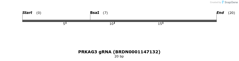 144756_map