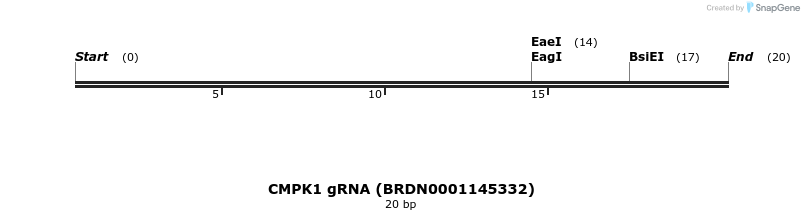 144762_map