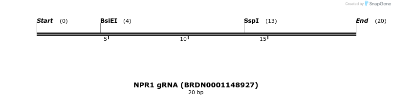 144766_map
