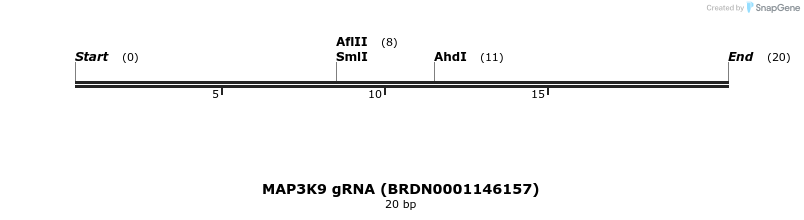 144769_map