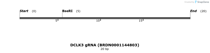 144771_map