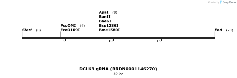 144772_map