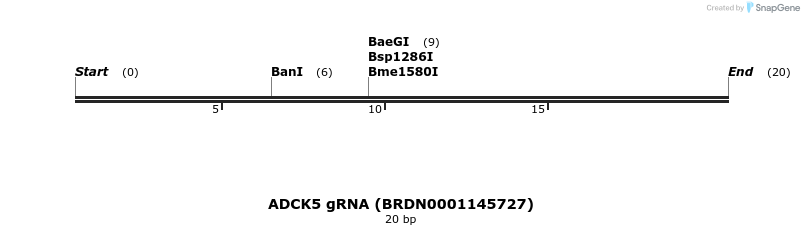 144779_map