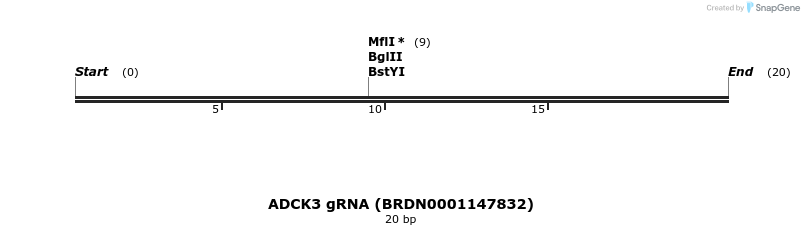 144781_map