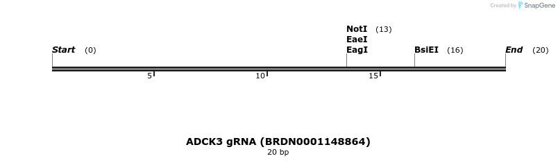 144782_map