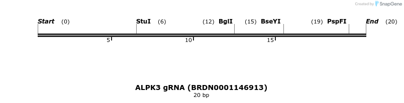 144785_map