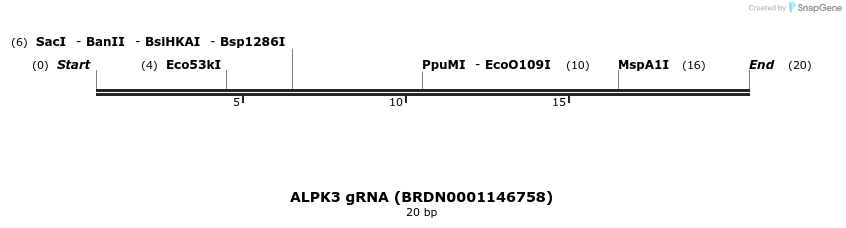 144786_map