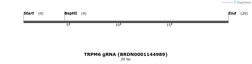 144794_map