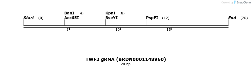 144801_map