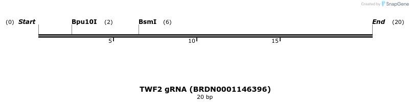144802_map
