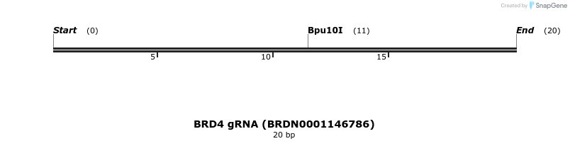 144806_map