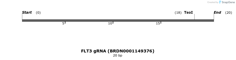 144809_map