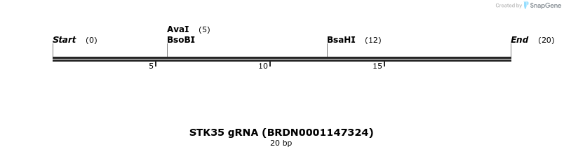 144816_map