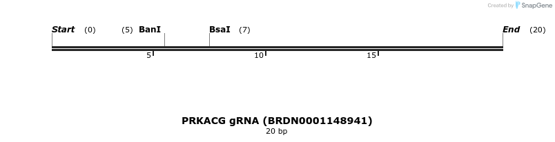 144825_map