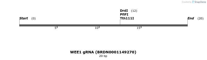 144830_map