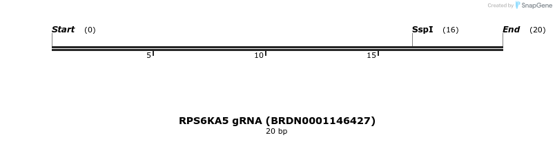144833_map