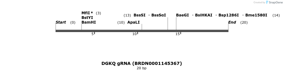 144838_map