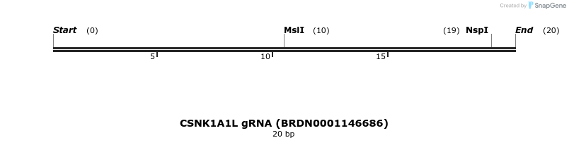 144842_map