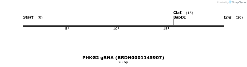 144844_map