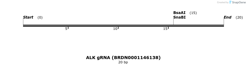 144853_map