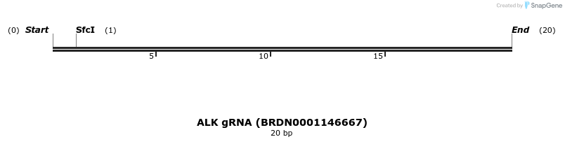 144854_map