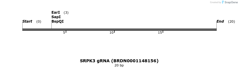 144857_map