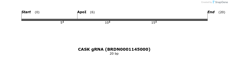 144862_map