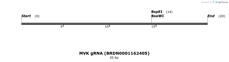 144866_map